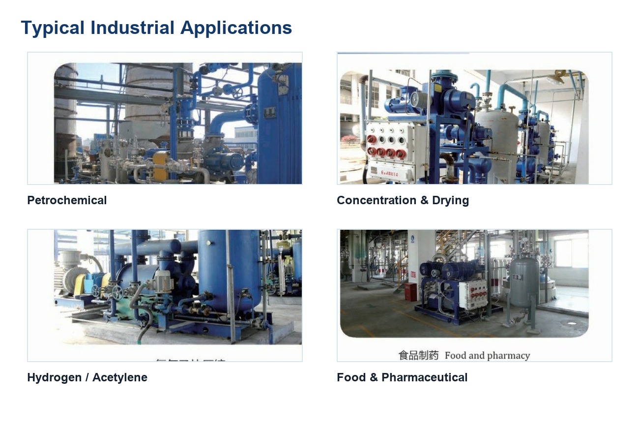 Industrial application examples for vacuum pump systems