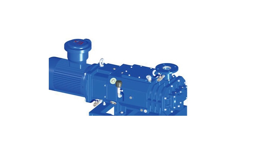 LG / LGB Screw Vacuum Pump Series